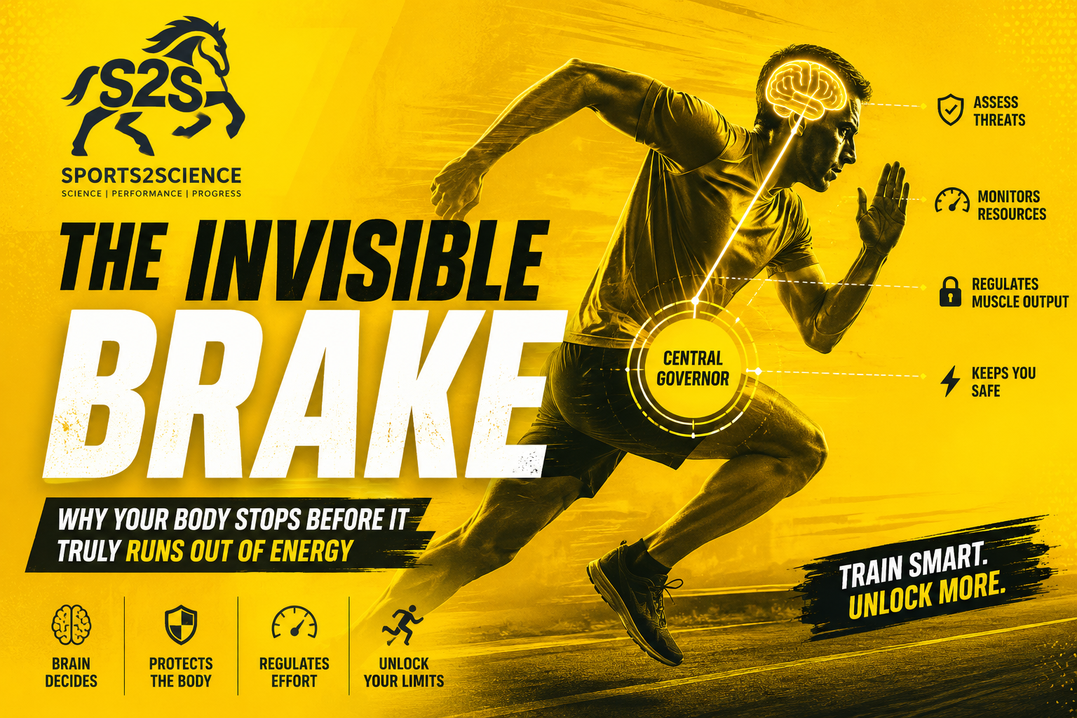 The Invisible Brake: Why Your Body Stops Before It Truly Runs Out of Energy